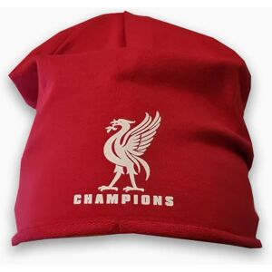 Highstreet Liverpool style Champions beanie hat - Liverbird ski hat Red one size