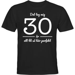 Det tog mig 30 år - T-SHIRT - UNISEX Svart - L