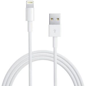 Apple Lightning Kabel MD818ZM/A 1M Original iPhone iPad iPod White