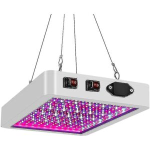 3000w Led Grow Light Hydroponisk fuldspektrum indendørs planteteltlys