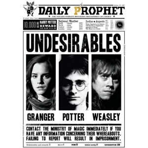 A3-print - Harry Potter - Daglig profet - Uønskede Multicolor