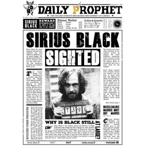 A3 print - Harry Potter - Daily Prophet - Sirius Black Multicolor