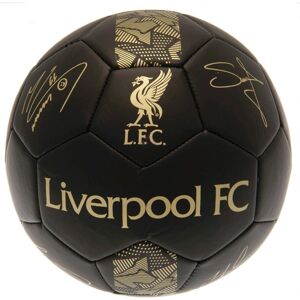 Liverpool Phantom underskrift fodbold med autografer kuglestørre Black