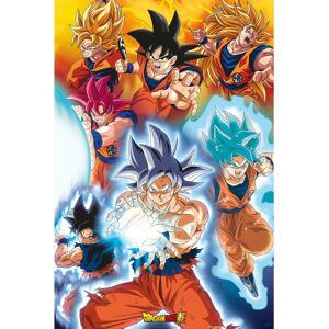 Dragon Ball Super - Transformation Multicolor