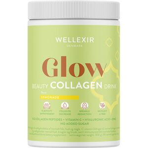 Wellexir Glow Beauty Collagen Drink Lemonade, 360 G.