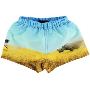 Molo Badeshorts - Uv50+ - Newton - Rhino - Molo - 56/62 - Badetøj