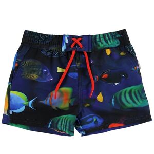 Paul Smith Junior Badeshorts - Toshiro - Navy M. Fisk - Paul Smith - 68 - Badetøj