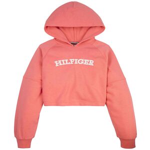 Tommy Hilfiger Hættetrøje - Cropped - Monotype - Santa Fe Sunset - Tommy Hilfiger - 16 År (176) - Hættetrøje