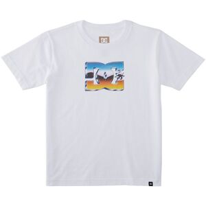Dc Shoes T-Shirt - Chrome - Hvid - Dc - 8 År (128) - T-Shirt