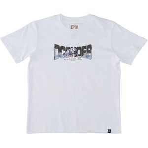 Dc Shoes T-Shirt - Astro - Hvid - Dc - 8 År (128) - T-Shirt