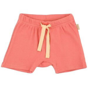 Petit Piao Shorts - Modal - Dark Peach - Petit Piao - 62 - Shorts