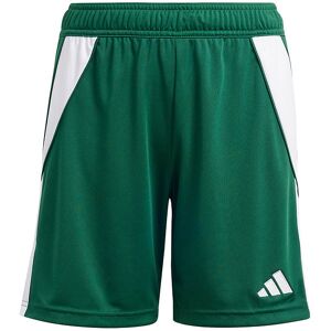 Adidas Performance Shorts - Tiro24 Sho Y - Grøn/hvid - Adidas Performance - 8 År (128) - Shorts