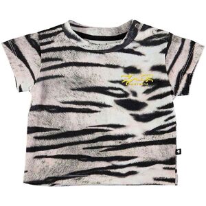 Molo T-Shirt - Emilio - Tiger White - Molo - 56 - T-Shirt