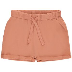 The New Siblings Shorts - Tnsgull - Toasted Nut - The New - 68 - Shorts