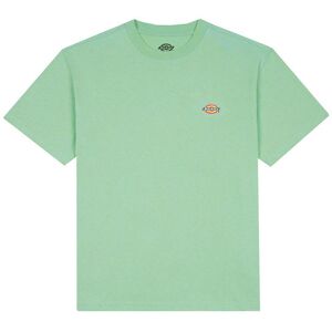 Dickies T-Shirt - Mapleton - Quiet Green - Dickies - M - Medium - T-Shirt