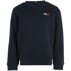 Tommy Hilfiger Sweatshirt - New York Flag Graphic - Desert Sky - Tommy Hilfiger - 4 År (104) - Sweatshirt