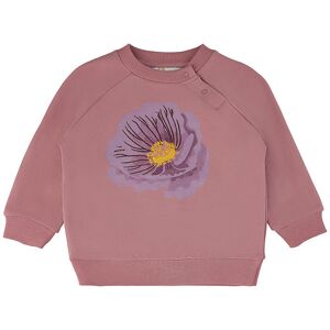 The New Siblings Sweatshirt - Tnshadessa - Nostalgia Rose M. Bl - The New - 68 - Sweatshirt