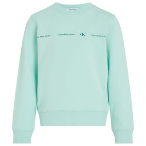 Klein Sweatshirt - Minimalistic Reg.Cn - Blue Tint - Calvin Klein - 16 År (176) - Sweatshirt