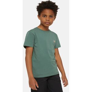 Dickies T-Shirts - Mapleton - Dark Forest - Dickies - 4-5 År (104-110) - T-Shirt