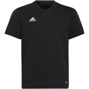 Adidas Performance T-Shirt - Entrada 22 - Black Noir - Adidas Performance - 12 År (152) - T-Shirt