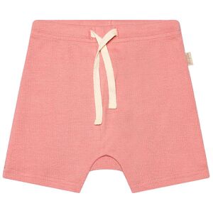 Petit Piao Shorts - Rib - Modal - Sea Shell Pink - Petit Piao - 68 - Shorts