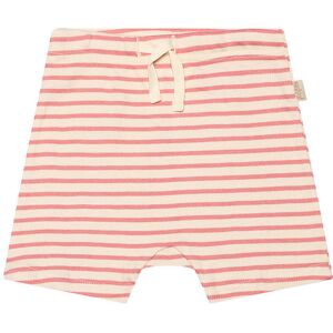 Petit Piao Shorts - Rib - Modal - Sea Shell Pink - Petit Piao - 68 - Shorts