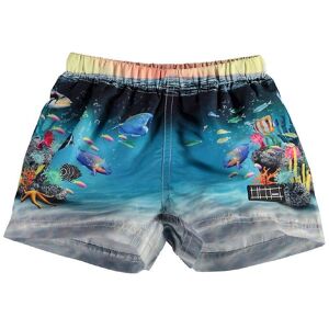 Molo Badeshorts - Uv50+ - Newton - Happy Baby Fish - Molo - 62/68 - Badetøj