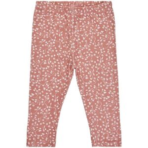 Soft Gallery Leggings - Baby Paula Flowershell - Fower Shell - Soft Gallery - 62 - Leggings