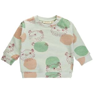 Soft Gallery Sweatshirt - Buzz Puffer - Pale Aqua - Soft Gallery - 1 År (80) - Sweatshirt