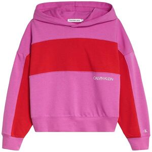 Klein Hættetrøje - Colour Block - Lucky Pink/red - 14 År (164) - Calvin Klein Hættetrøje