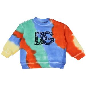 Dolce & Gabbana Sweatshirt - Eden - Multifarvet M. Print - Dolce & Gabbana - 24-30 Mdr - Sweatshirt