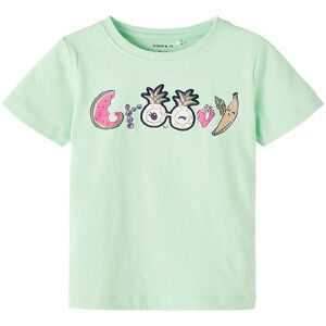 Name It T-Shirt - Nmfdenice - Green Ash - Name It - 4 År (104) - T-Shirt