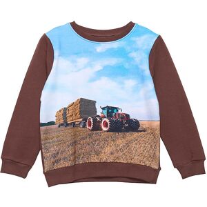 Minymo Sweatshirt - Potting Soil M. Traktor - Minymo - 6 År (116) - Sweatshirt