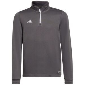 Adidas Performance Bluse - Ent22 Tr Topy - Grå/hvid - Adidas Performance - 8 År (128) - Sweatshirt