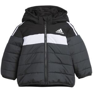 Adidas Performance Dynejakke - In F Pad Jkt - Sort/hvid - Adidas Performance - 1 År (80) - Dunjakke