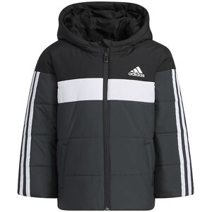 Adidas Performance Dynejakke - Lk Pad Jkt - Sort - Adidas Performance - 7 År (122) - Dunjakke