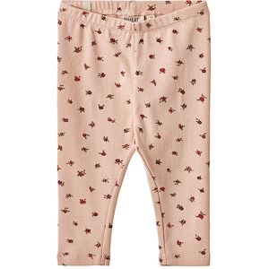 Wheat Leggings - Rib - Jules - Pink Sand Flowers - Wheat - 62 - Leggings