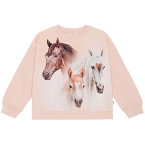 Molo Sweatshirt - Maxi - Three Friends - Molo - 10 År (140) - Sweatshirt