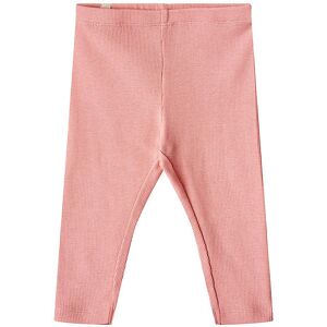 Wheat Leggings - Rib - Maddy - Rosette - 1 År (80) - Wheat Leggings