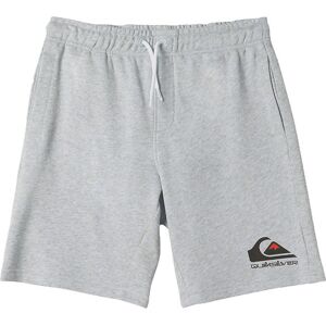 Quiksilver Sweatshorts - Easy Day Jogger - Grå - Quiksilver - 8 År (128) - Shorts