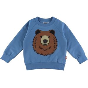 Dyr-Cph Sweatshirt - Dyrbellow - Porcelaine Brun Bjørn - Dyr - 8 År (128) - Sweatshirt