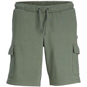 Jack & Jones Sweatshorts - Jpstbradley - Laurel Wreath - Jack & Jones - 14 År (164) - Shorts