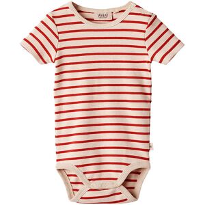 Wheat Body K/æ - Edvald - Red Stripe - Wheat - 1½ År (86) - Body K/æ