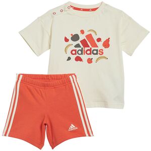 Adidas Performance Shortssæt - I Fruit T - Hvid/rød - Adidas Performance - 1 År (80) - Shorts