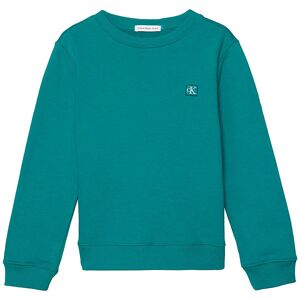 Klein Sweatshirt - Mono Mini Badge - Fanfare - Calvin Klein - 14 År (164) - Sweatshirt