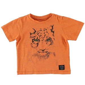 Mini A Ture T-Shirts - Legolas - Orangemeleret M. Leopard - Mini A Ture - 74 - T-Shirt