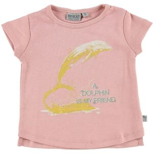 Wheat T-Shirt - Mellow Rose M. Delfin - Wheat - 68 - T-Shirt