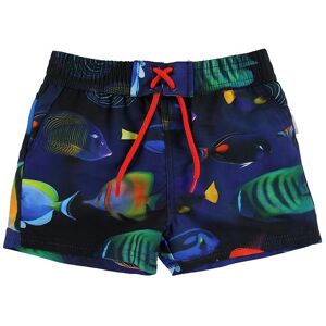 Paul Smith Junior Badeshorts - Toshiro - Navy M. Fisk - Paul Smith - 68 - Badetøj