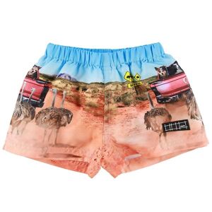 Molo Badeshorts - Uv50+ - Newton - In The Bush - Molo - 56/62 - Badetøj