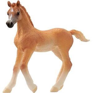 Schleich Horse Club - Araberføl - H: 8 Cm - 13984 - Schleich - Onesize - Legetøjsdyr